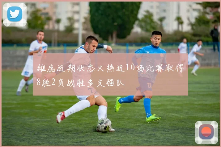 雄鹿近期状态火热近10场比赛取得8胜2负战胜多支强队