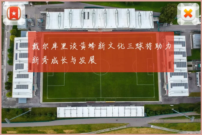 戴尔库里谈黄蜂新文化三球将助力新秀成长与发展