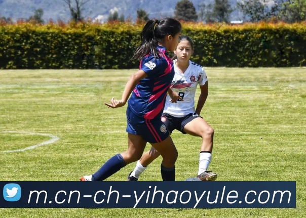 壹号娱乐平台生态图